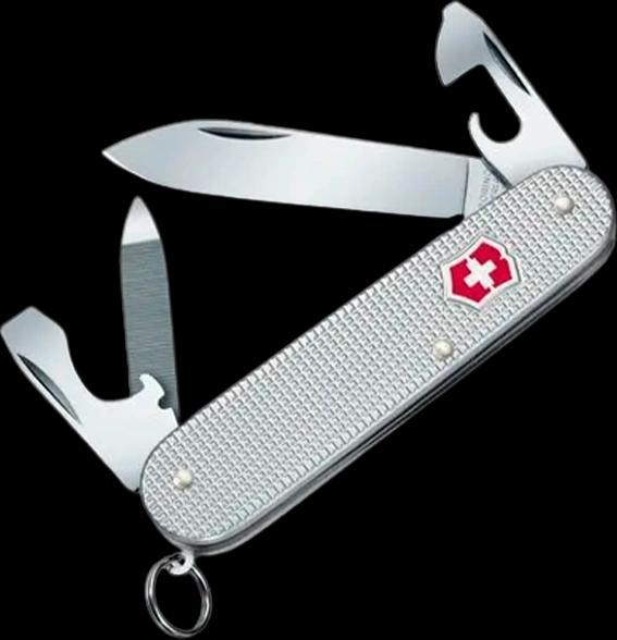 Victorinox 0.2601.26
