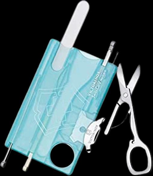 Victorinox 0.7240.T21B1