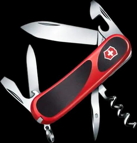 Victorinox 2.3803.C