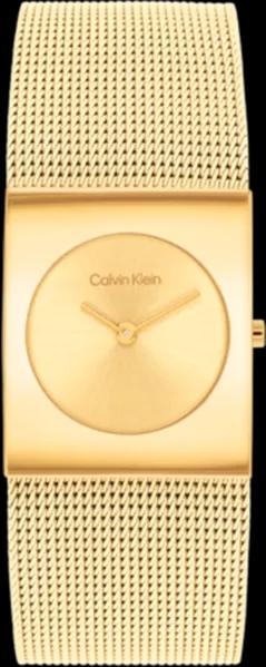 Calvin Klein 25100062