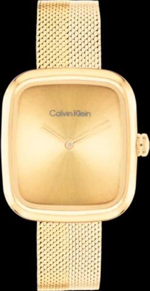 Calvin Klein 25100099