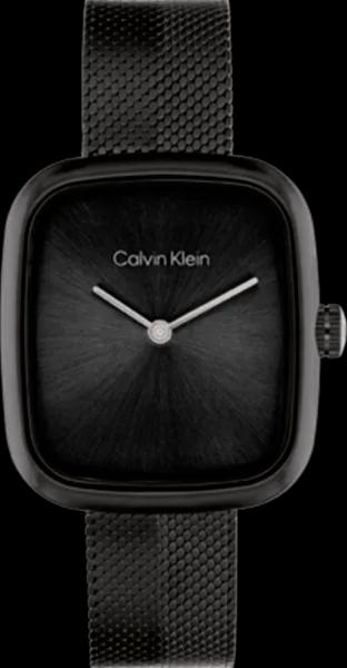 Calvin Klein 25100100