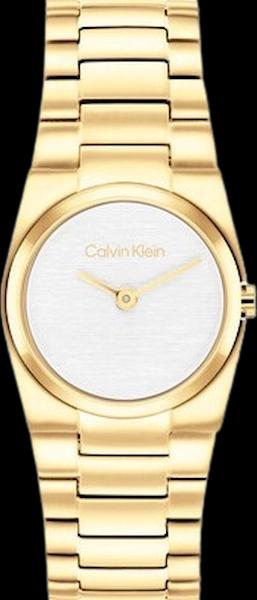 Calvin Klein 25100122