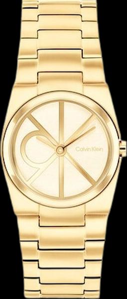 Calvin Klein 25100127