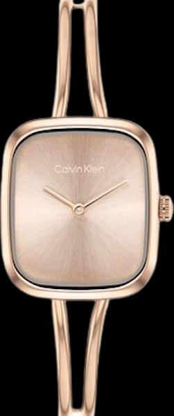 Calvin Klein 25100133
