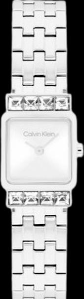 Calvin Klein 25100161