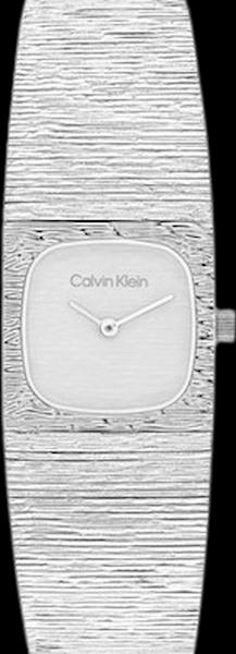 Calvin Klein 25100177
