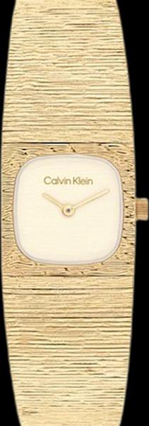 Calvin Klein 25100178