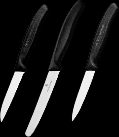 Victorinox 6.7113.3