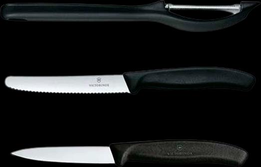 Victorinox 6.7113.31