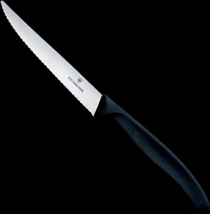 Victorinox 6.7233.20