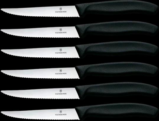 Victorinox 6.7233.6