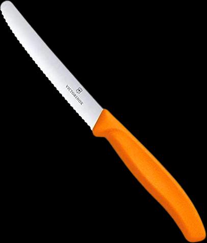 Victorinox 6.7836.L119