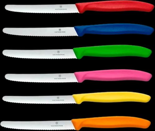 Victorinox 6.7839.6G