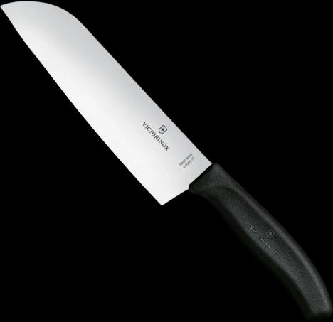 Victorinox 6.8503.17B