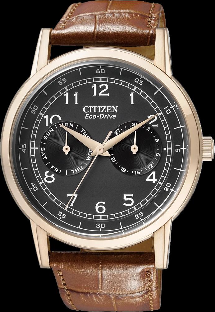 Citizen AO9003-08E