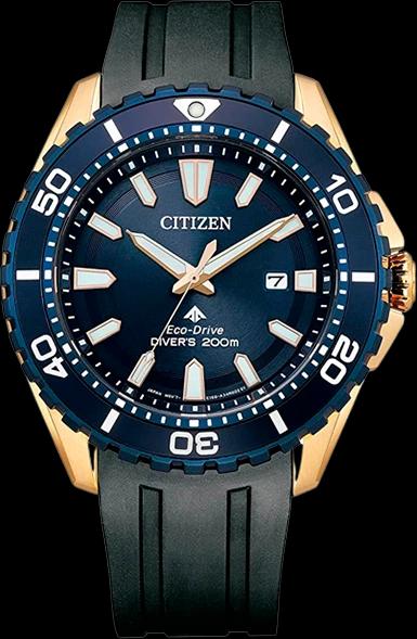 Citizen BN0196-01L