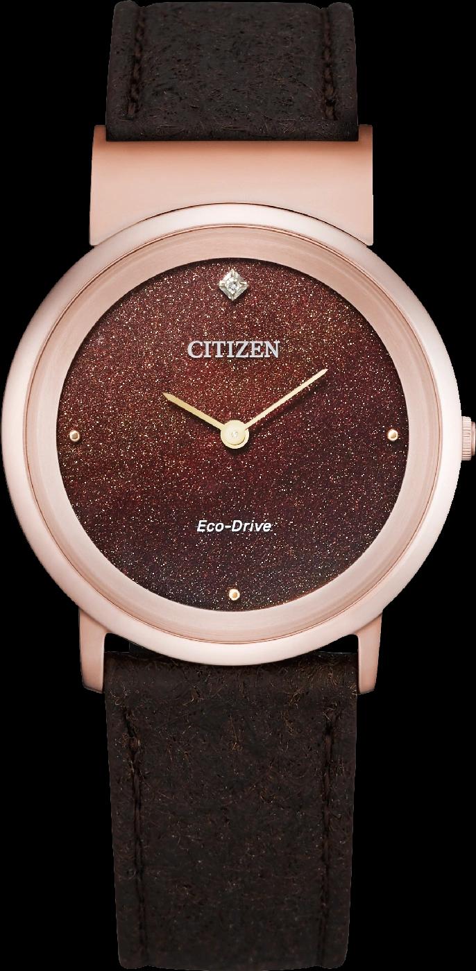 Citizen EG7072-19X