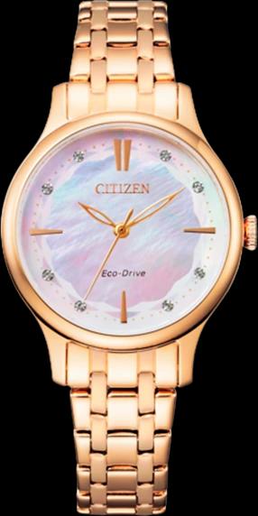 Citizen EM0893-87Y