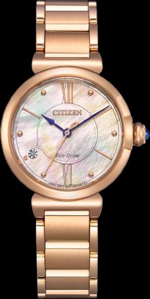 Citizen EM1073-85Y