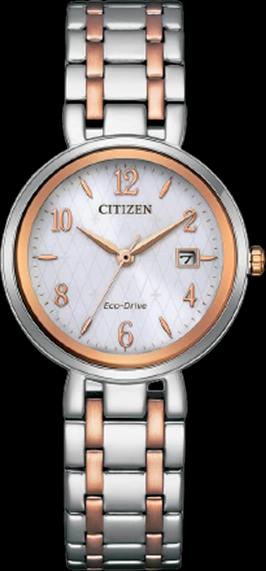 Citizen EW2696-84A