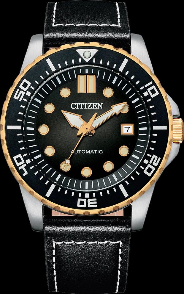 Citizen NJ0176-10E