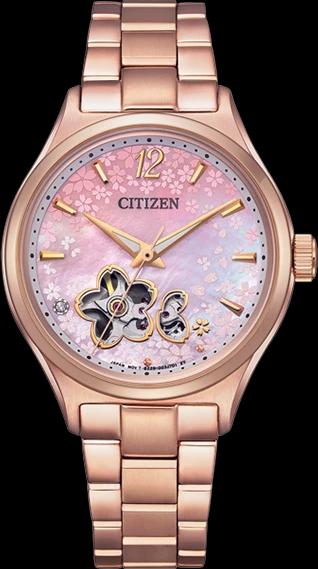 Citizen PC1017-61Y