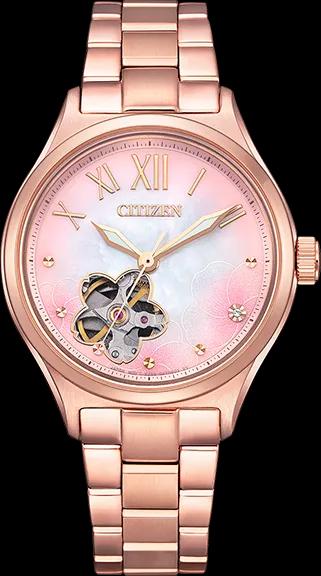 Citizen PC1017-70Y